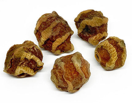 Mocochinchi Pfirsiche