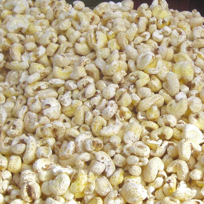 Snacks & Süßigkeiten aus Bolivien