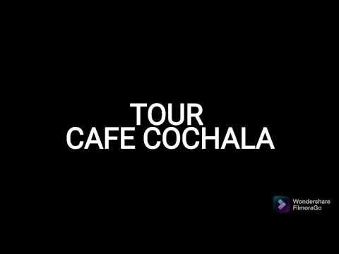 
                  
                    Cargar y reproducir el video en el visor de la galería, Parlawi Café Especial Cochabamba (cada 250 g)
                  
                